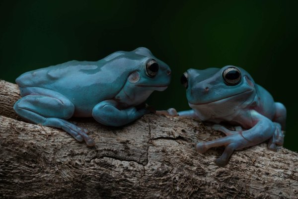 Quelles astuces pour mettre en valeur des bijoux minimalistes avec une tenue chargée?